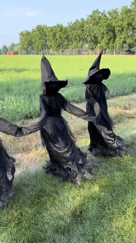 SpookYard™ Lighted Witch Stakes
