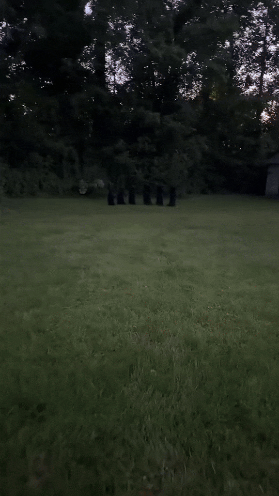SpookYard™ Lighted Witch Stakes